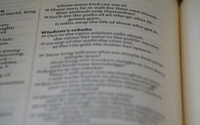 Opzoek of op zoek: wat is de juiste spelling en waarom schrijf je deze uitdrukking los?