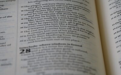 Sowieso of zowiezo: wat is de juiste spelling en waarom wordt dit woord zo vaak fout geschreven?